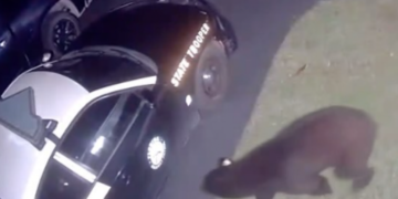 Screenshot 12 14 780x439[1]