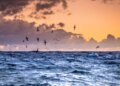Image 2 Shearwaters At Sunset Orig 780x439[1]